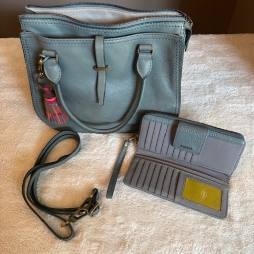 Fossil Handbag